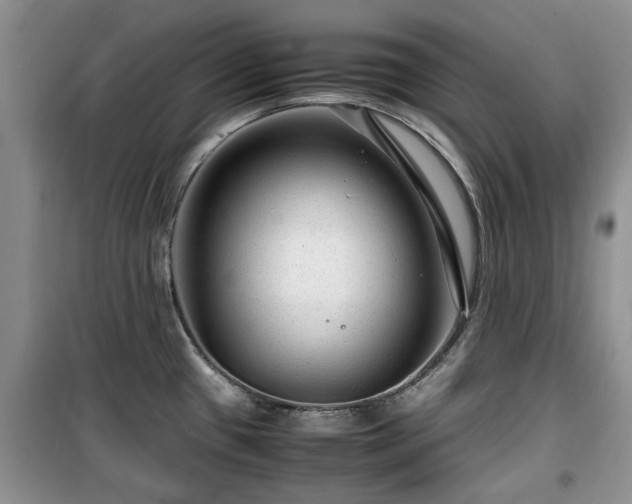 X0000099491433200805221327