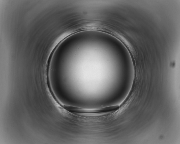 X0000099491434200805221327