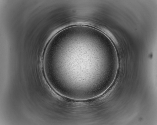 X0000099491436200805221327