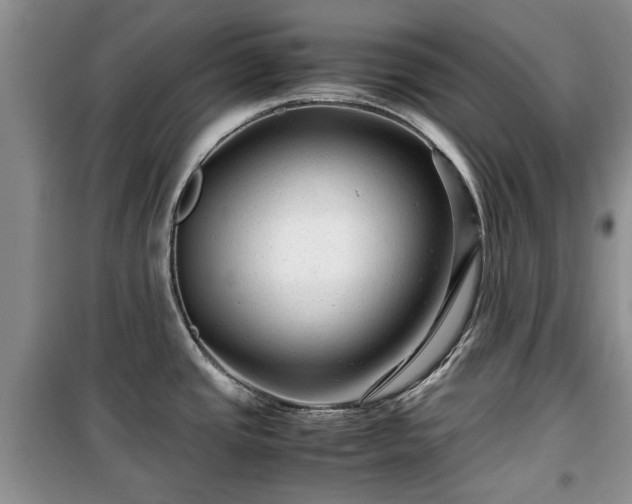 X0000099491437200805221327