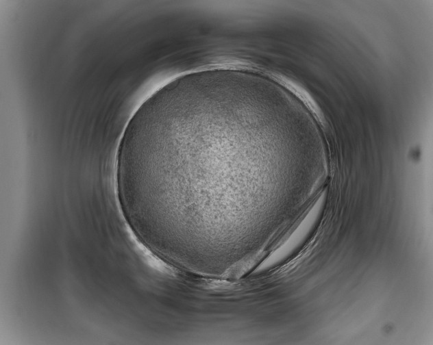 X0000099491439200805221327