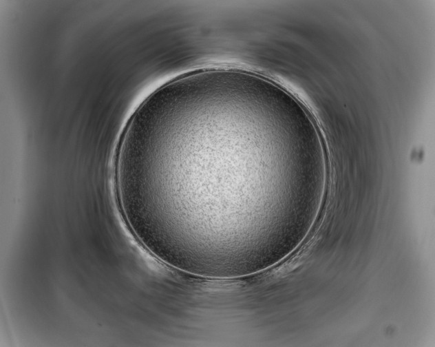 X0000099491440200805221327