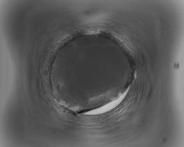 X0000099491441200805221327