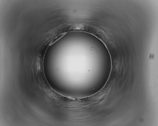 X0000099491442200805221327