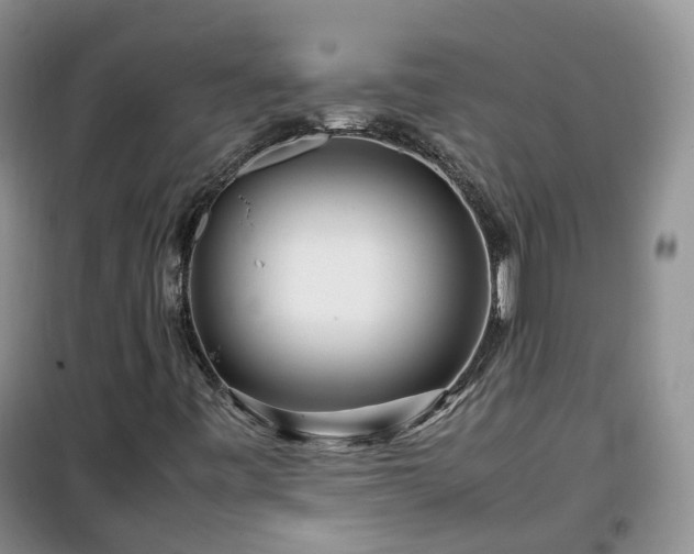 X0000099491443200805221327