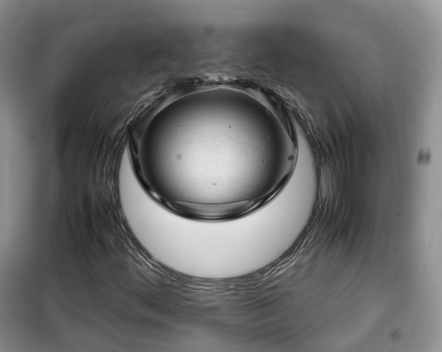 X0000099491444200805221327