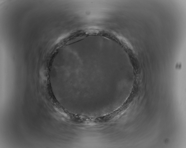 X0000099491445200805221327