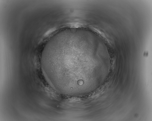 X0000099491446200805221327