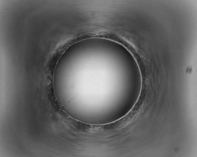 X0000099491447200805221327