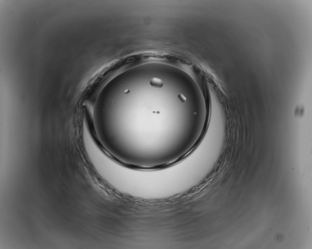 X0000099491448200805221327