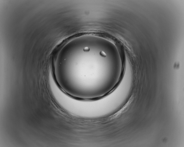X0000099491449200805221327