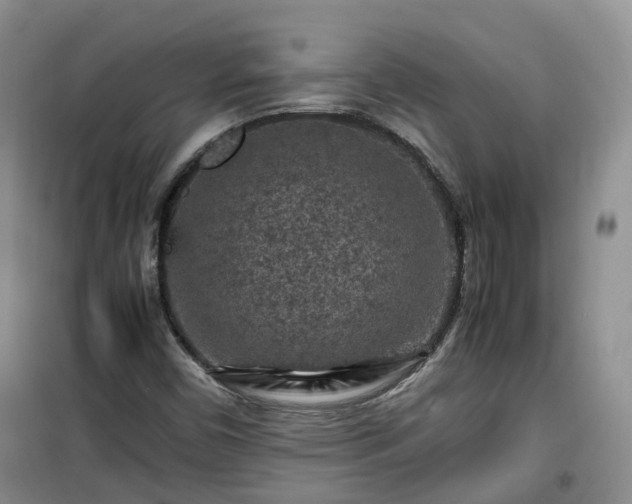 X0000099491450200805221327