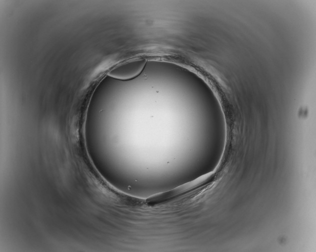 X0000099491451200805221327