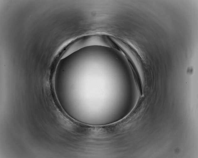 X0000099491452200805221327