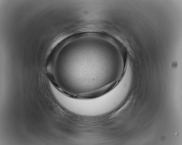 X0000099491453200805221327