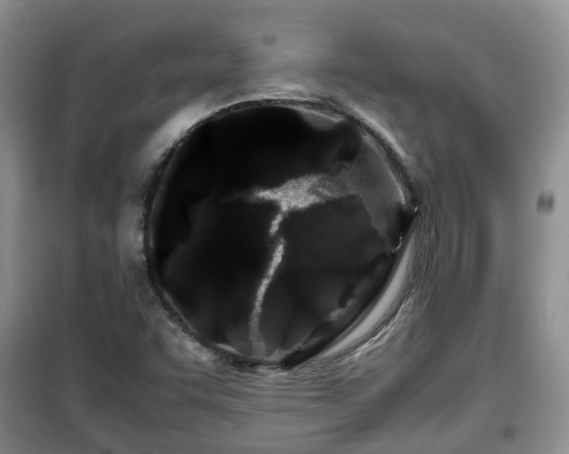 X0000099491455200805221327