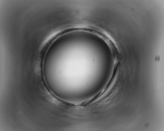 X0000099491456200805221327