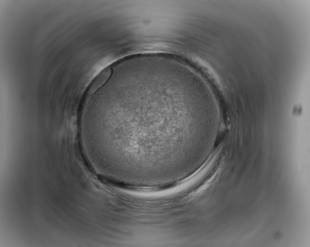 X0000099491457200805221327