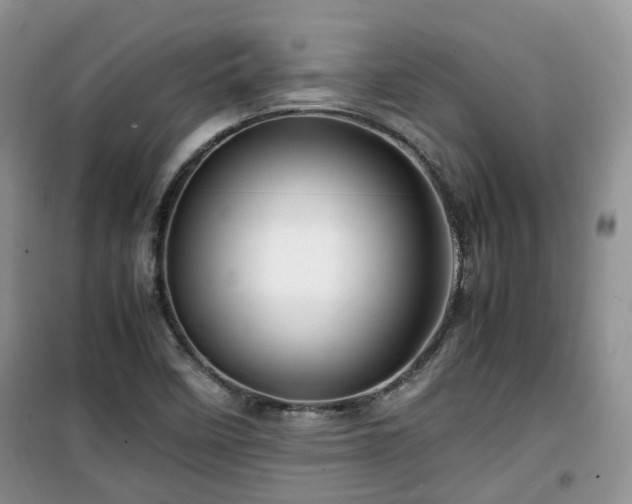 X0000099491458200805221327