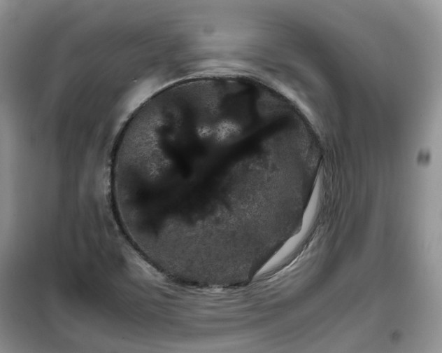 X0000099491459200805221327