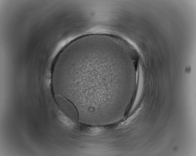 X0000099491461200805221326