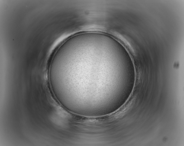 X0000099491462200805221326