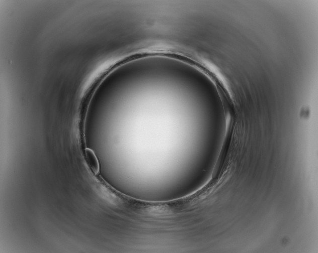X0000099491464200805221326