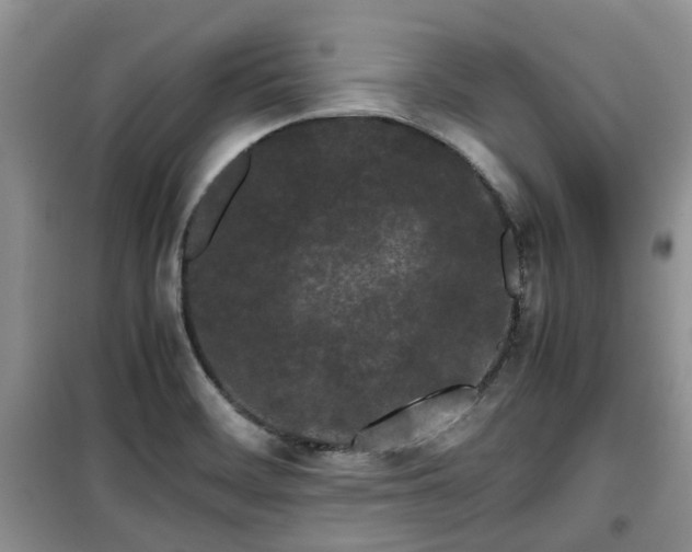 X0000099491468200805221326