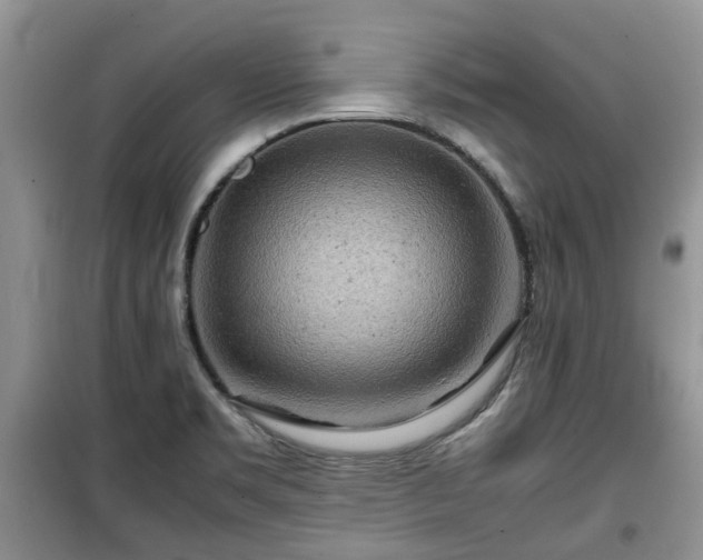 X0000099491469200805221326