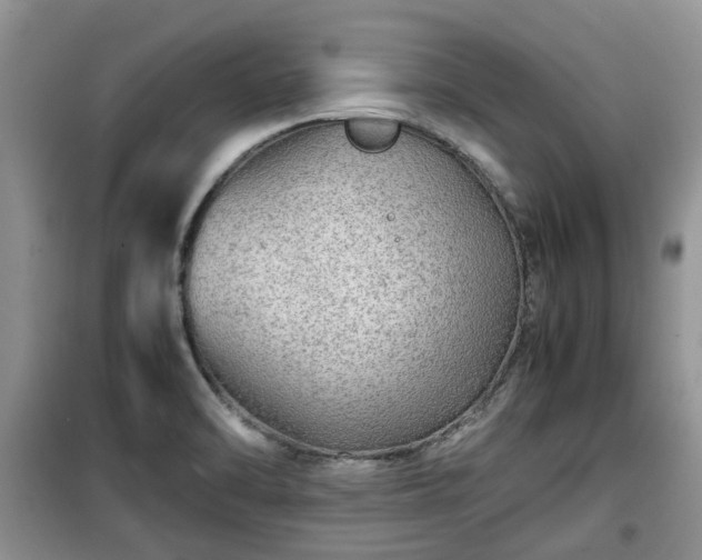 X0000099491470200805221326