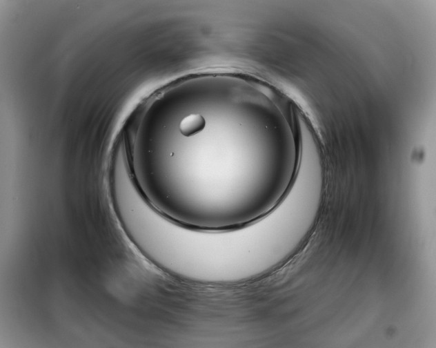 X0000099491472200805221326