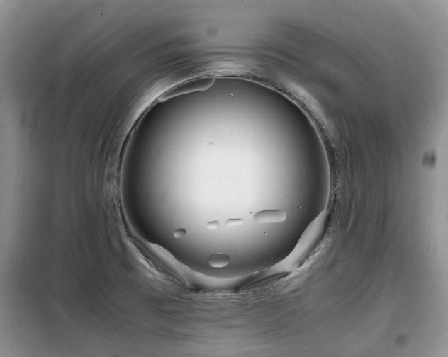 X0000099491473200805221326