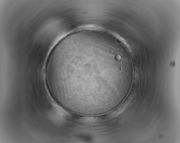 X0000099491474200805221326