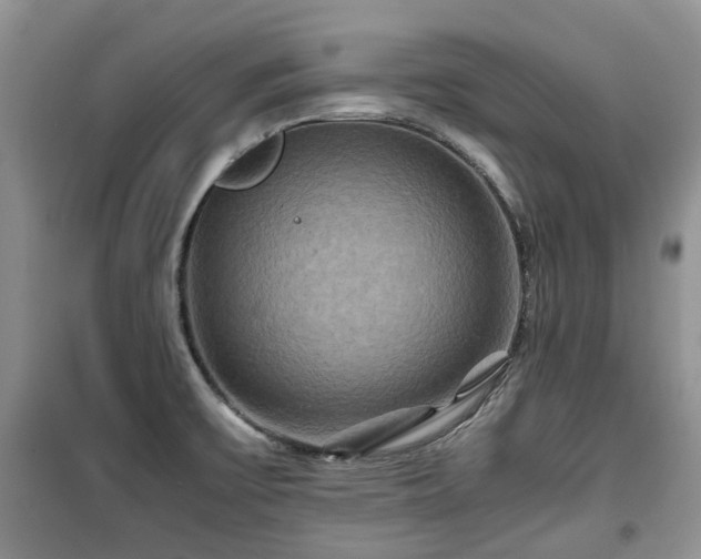 X0000099491475200805221326