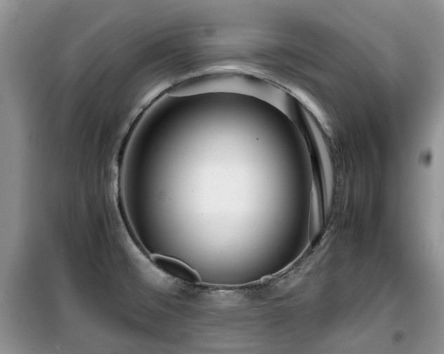 X0000099491476200805221326