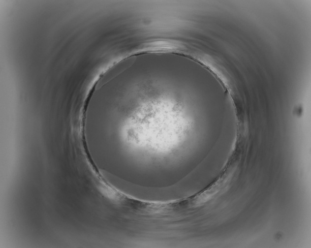 X0000099491477200805221326