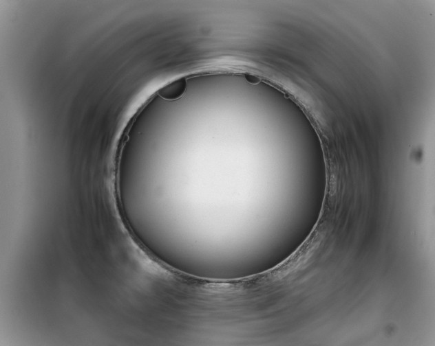 X0000099491478200805221326
