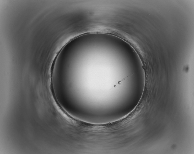 X0000099491479200805221326
