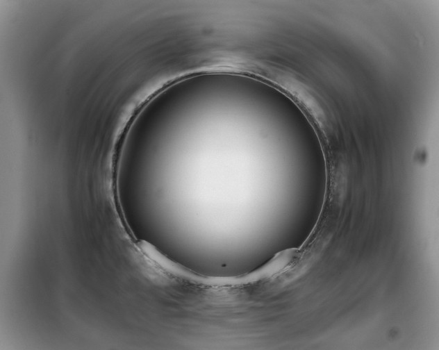 X0000099491480200805221326