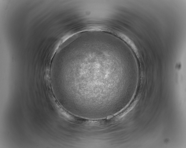 X0000099491481200805221326