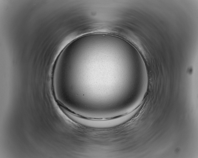 X0000099491483200805221326