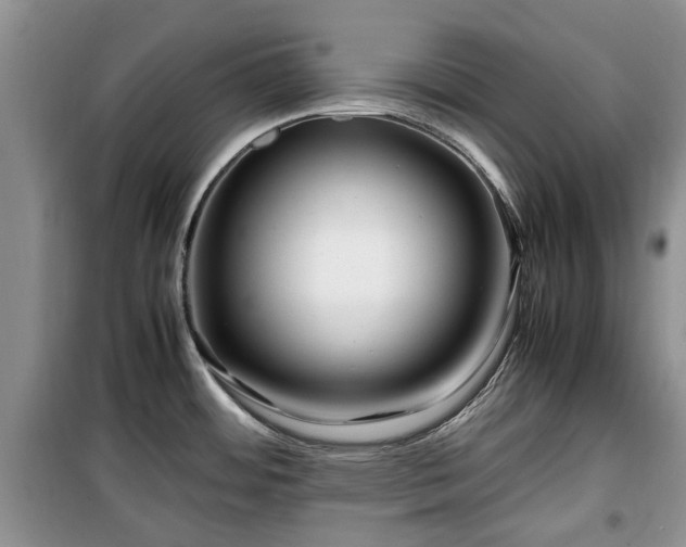 X0000099491484200805221326