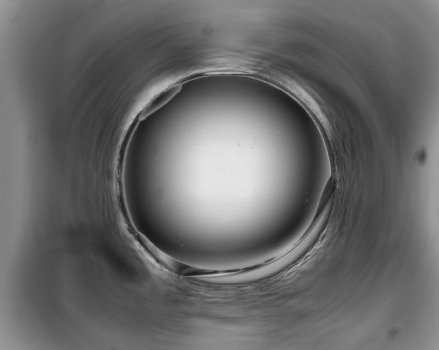 X0000099491485200805221326