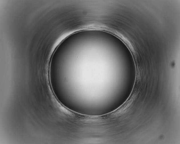 X0000099491486200805221326