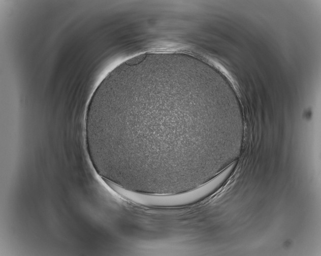 X0000099491487200805221326