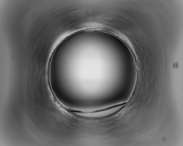 X0000099491488200805221326