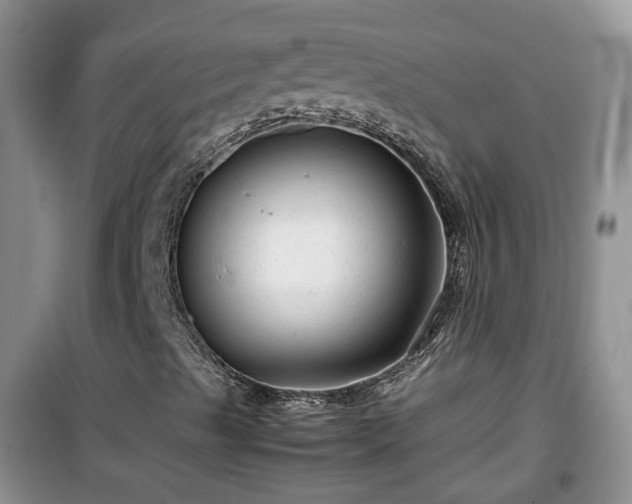 X0000099491489200805221325