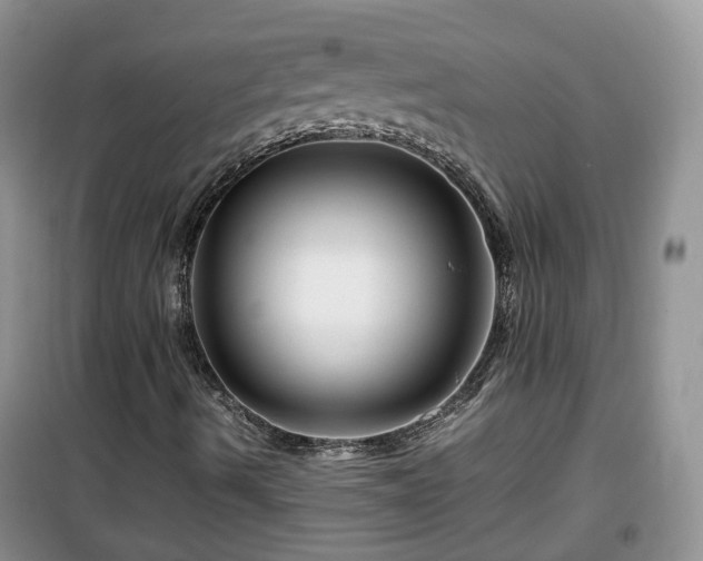 X0000099491490200805221325