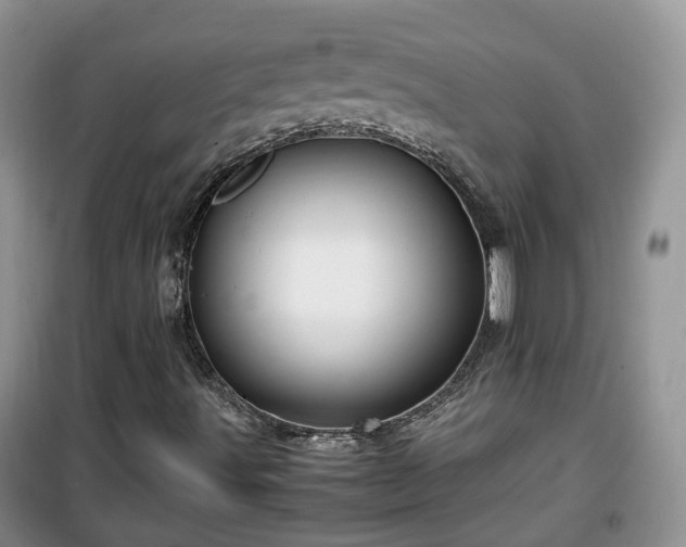 X0000099491491200805221325