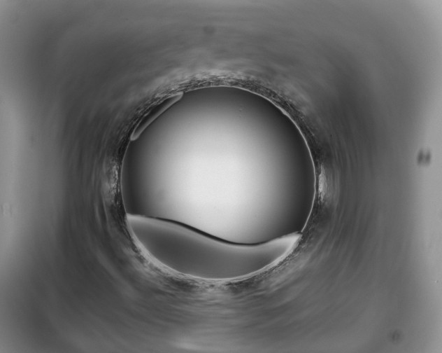 X0000099491492200805221325